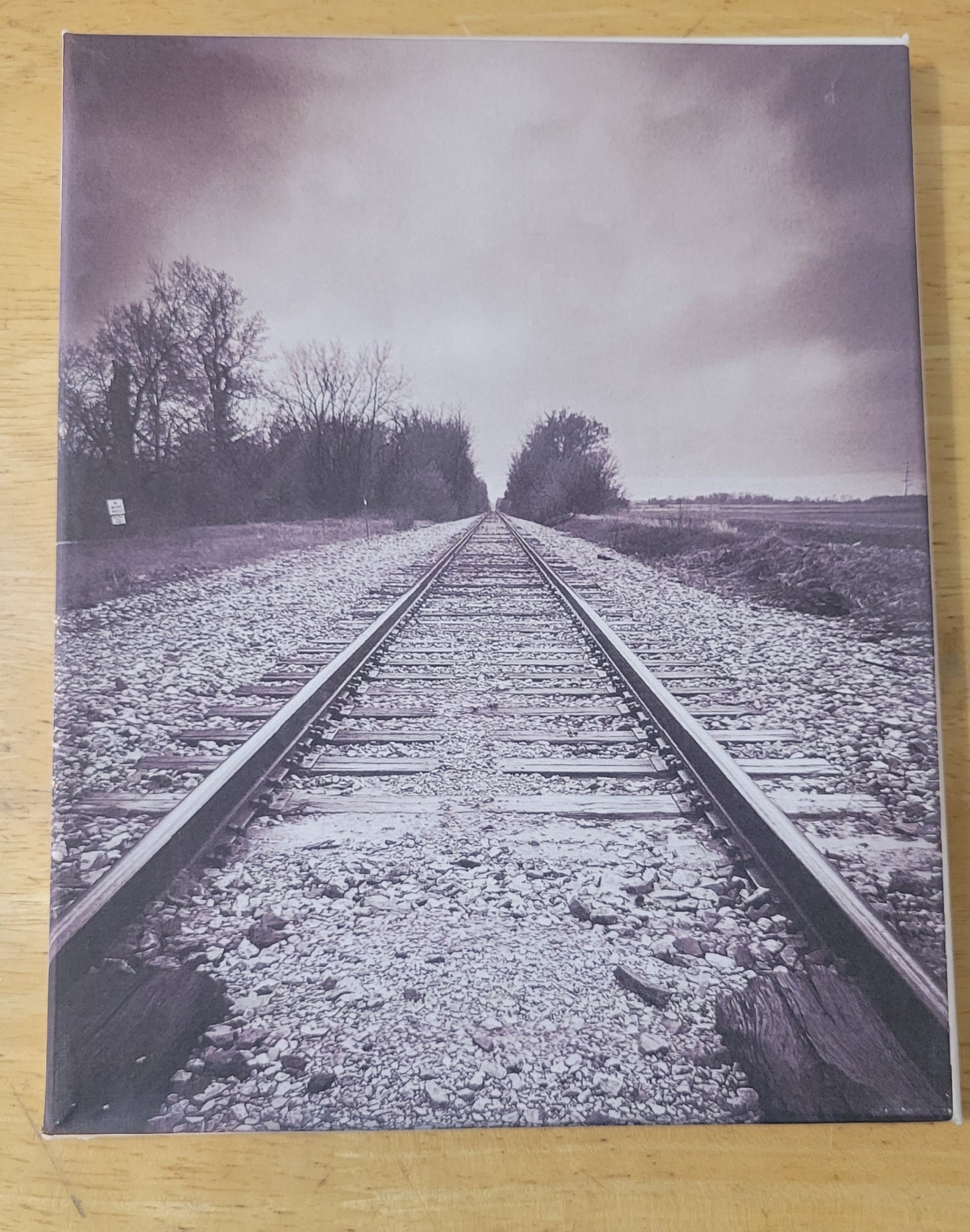Canvas Prints